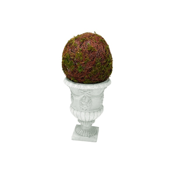 Moss Ball Topiary
